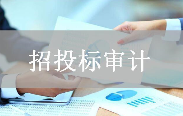 招投標審計